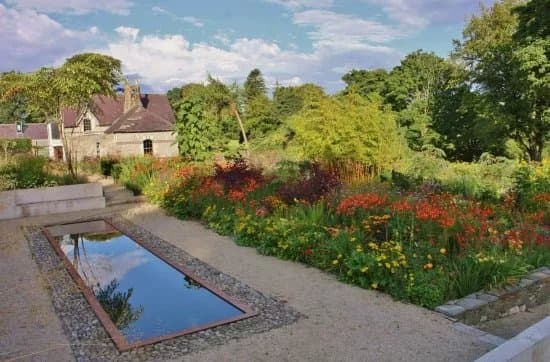 June Blake's Garden