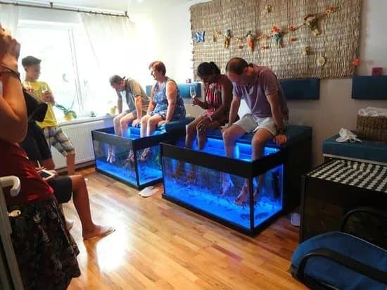 Feet 4 Fish