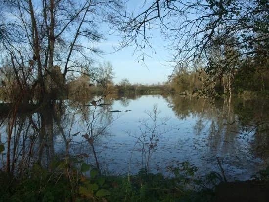 La Boire des Carres