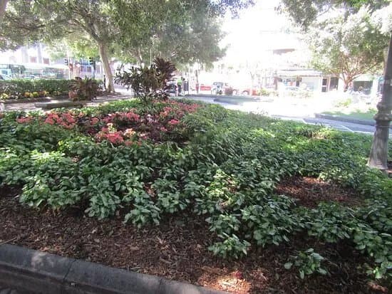 Plaza Weyler