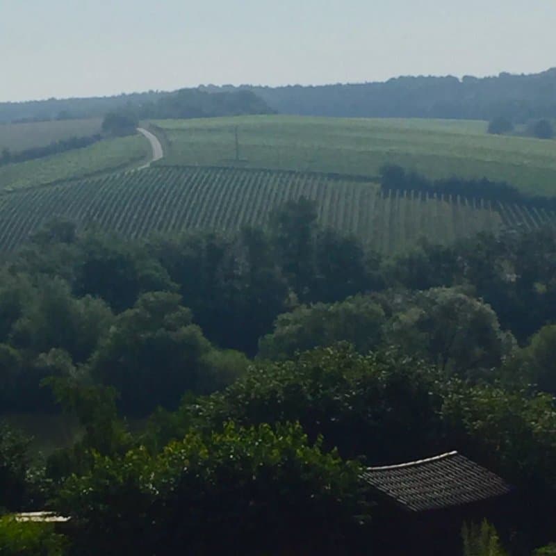 Ferienwohnungen Baerbel