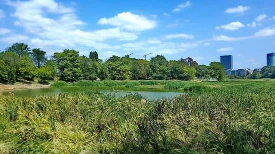 Pacul Bordei Park