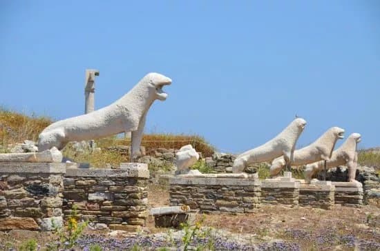 Avenue of the Lions