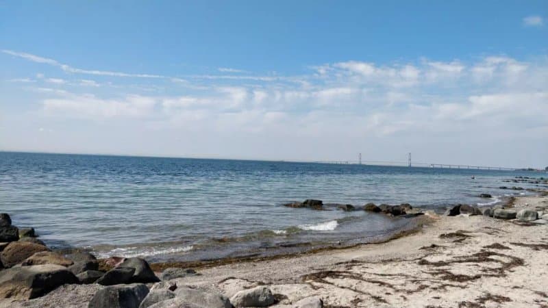 Soeskaer Strand