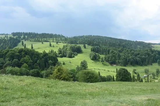 Rezerwat przyrody Biala Woda