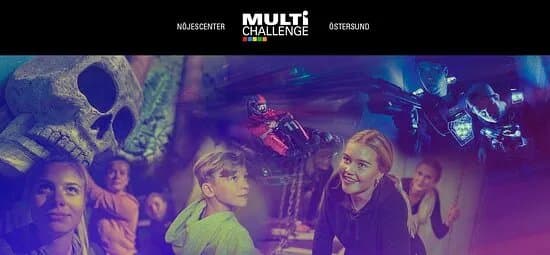 Multi Challenge