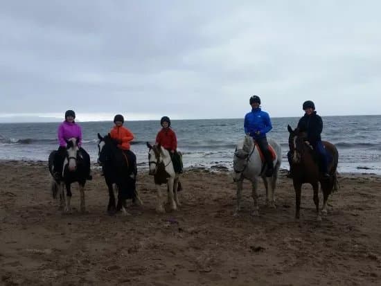 Tralee Equestrian Centre