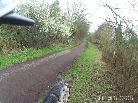 Fallowfield Loop