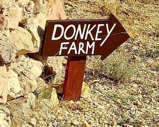 OPG Kanat Small Donkey Farm