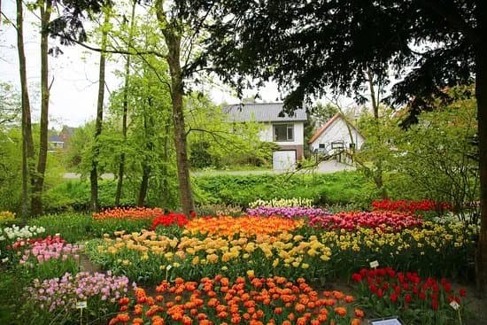 Poldertuin