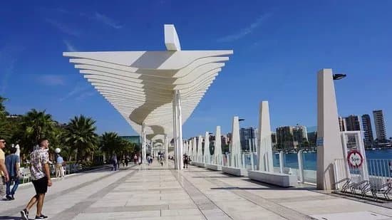 Palmeral de las Sorpresas