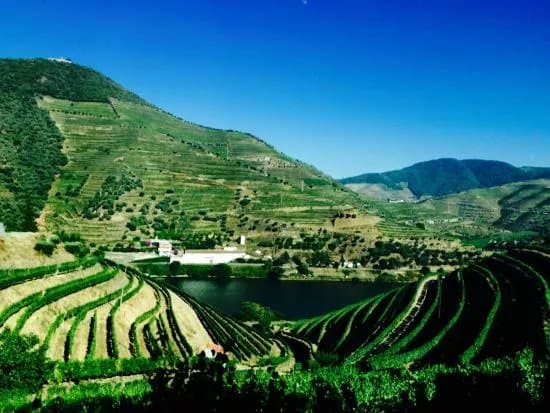 Douro Valley