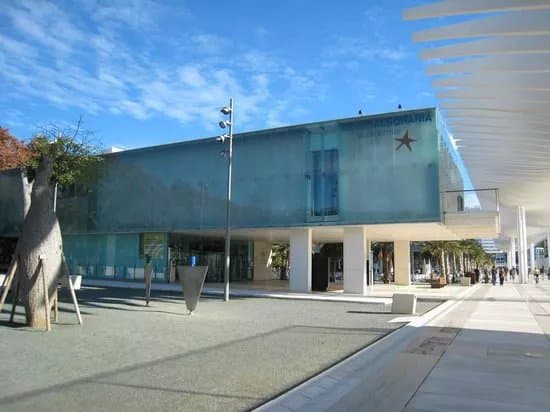 Museo Alborania