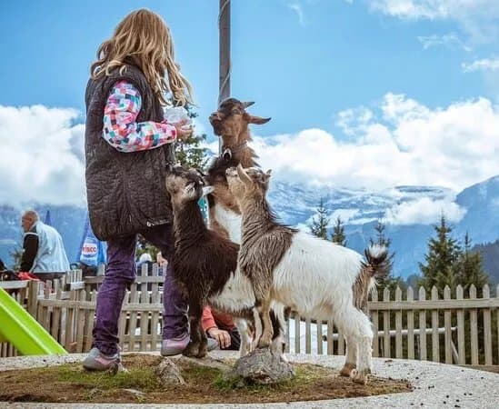 Parc Animalier
