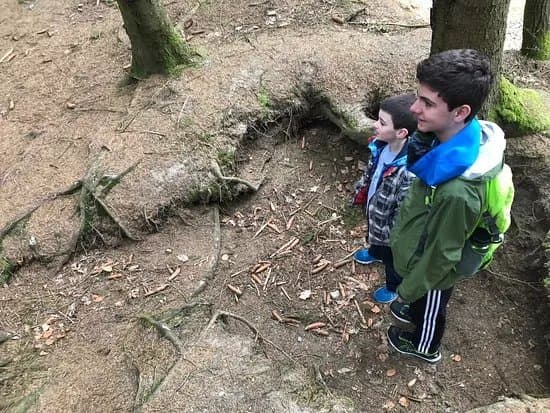 Battle of the Bulge Guided Tours