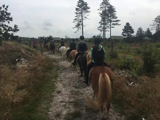 Nymindegab Ridecenter