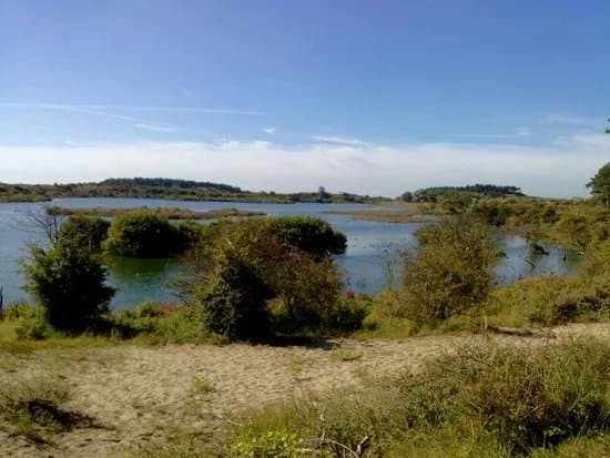 Kennemerduinen an der Nordsee