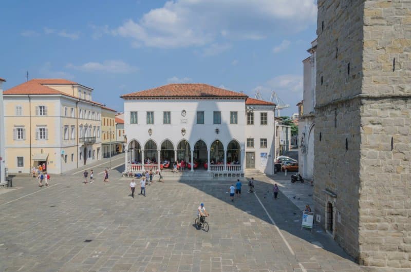 Palaca Pizarello-Palma