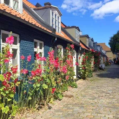 Aarhus City Guide