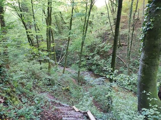 Visnjica Falls
