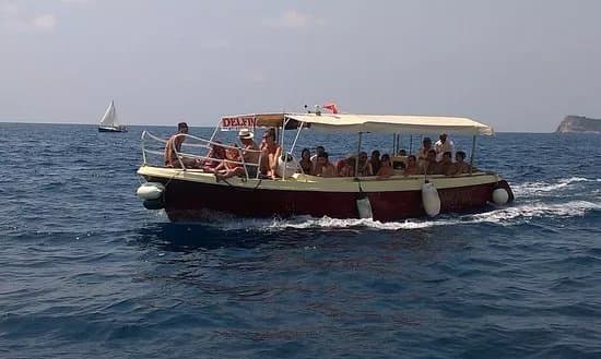 Delfin Boats