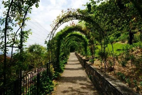 Parc Des Hauteurs