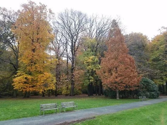 Te Boelaerpark
