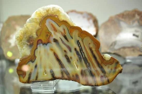 Muzeum Ziemi Geologiczne