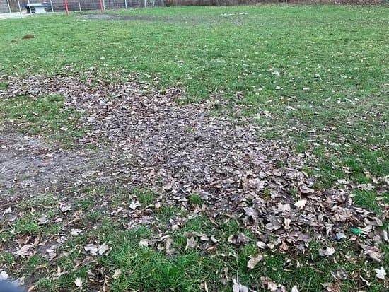 Kinderspielpatz - bei Teichgarten 22