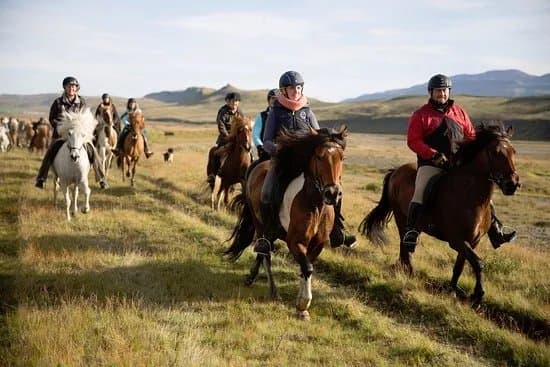 Hestasport - Riding Tours