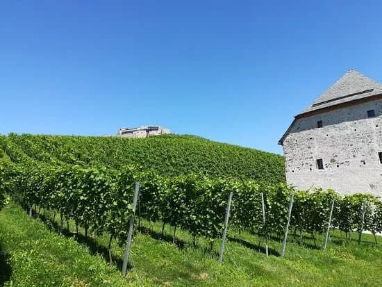 Burg Taggenbrunn