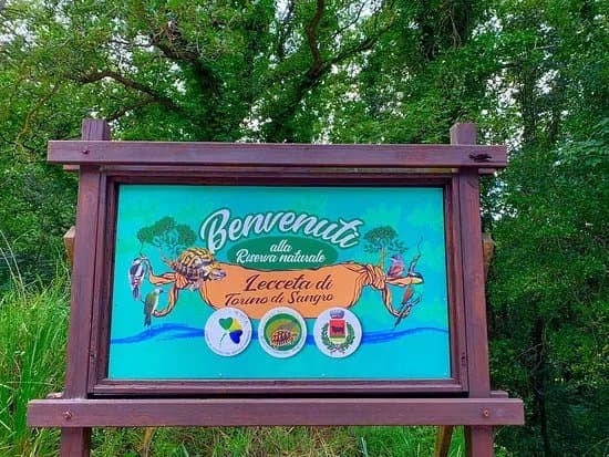 Riserva Naturale Regionale Lecceta Di Torino Di Sangro
