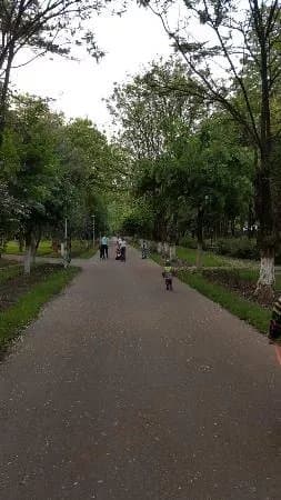 Inima Bacaului