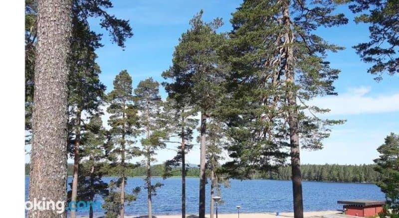 Camp Igge