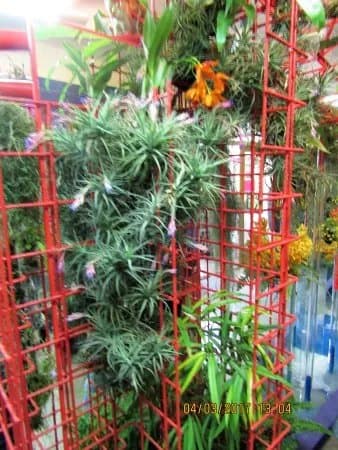 Botanicka zahrada a arboretum Mendelovy univerzity v Brne