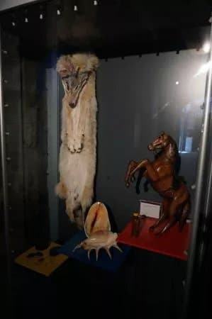 Revenue Museum
