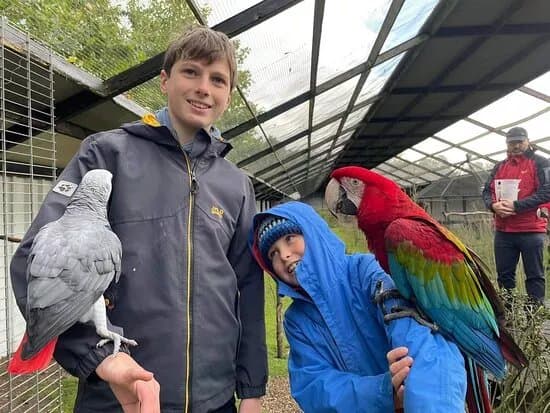 Dyrenes Verden Filskov Mini Zoo i Billund