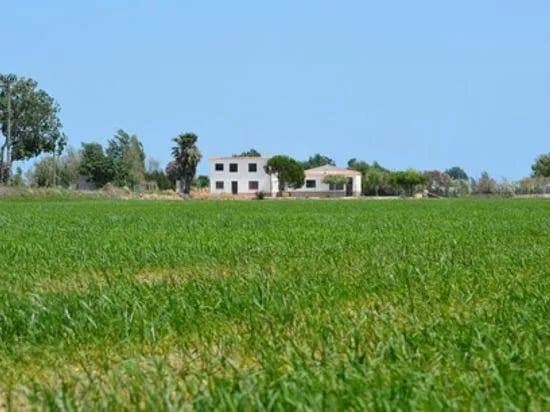 Parc Natural del Delta de l'Ebre