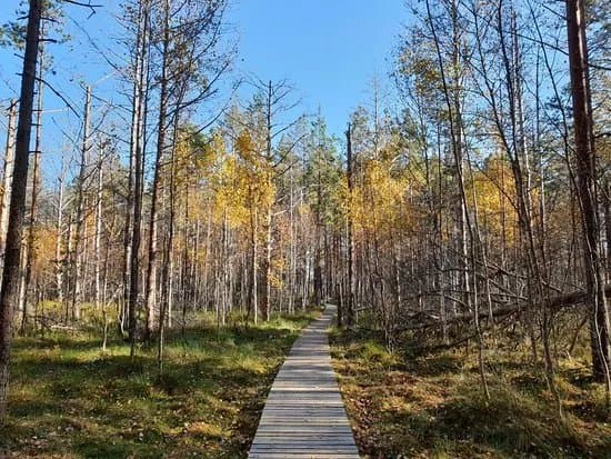 Rannametsa Tolkuse Nature Trail