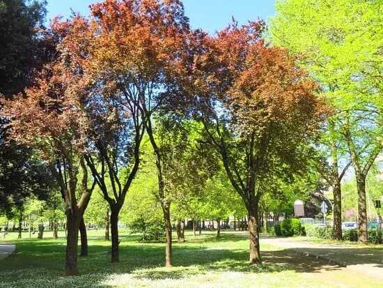 Parco Sandro Pertini