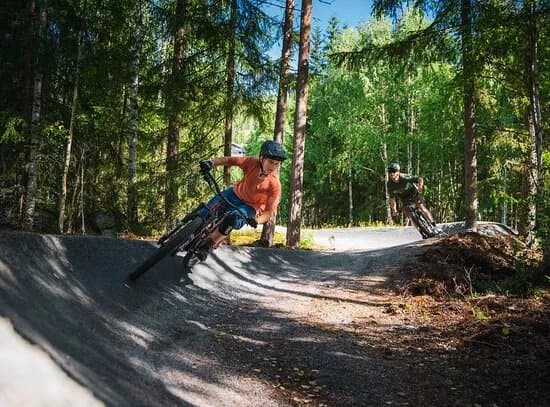 Hallingmo: Stisenter