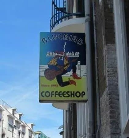 Coffeeshop Bluebird