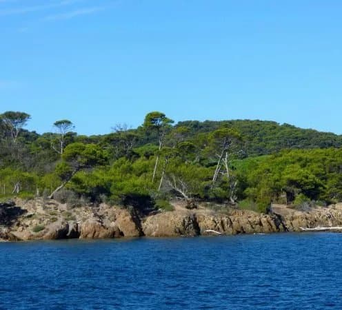 Le port de l'ile de Porquerolles