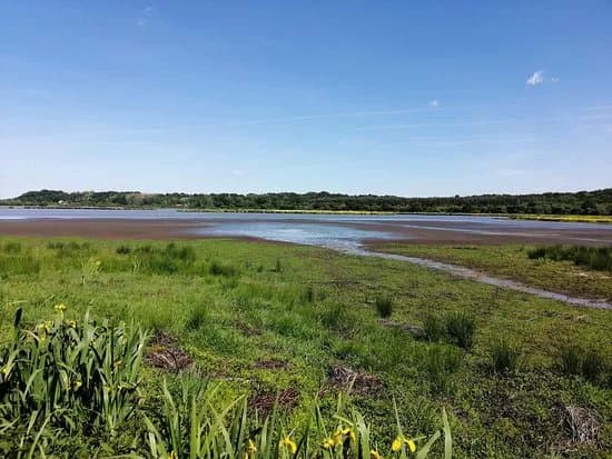 Reserve Naturelle Du Marais D'orx