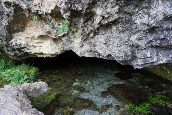 Nacimiento De La Toba