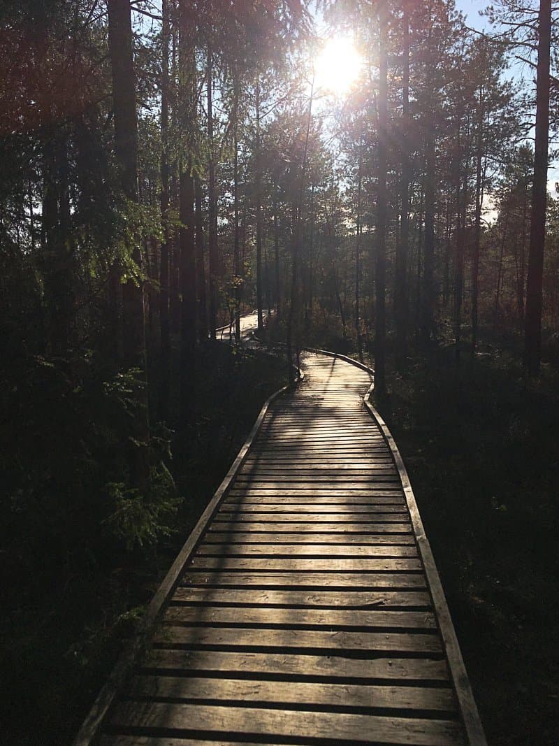 Kalnansu Bog Trail