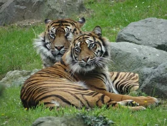 Zoo de La Fleche