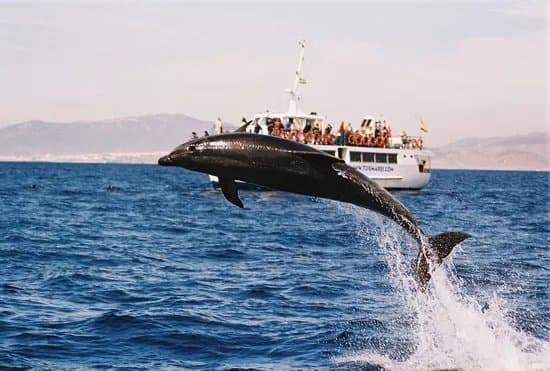 Turmares Tarifa
