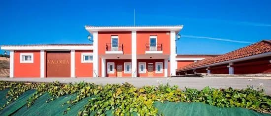 Bodegas Valoria