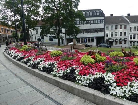 Triangelparken